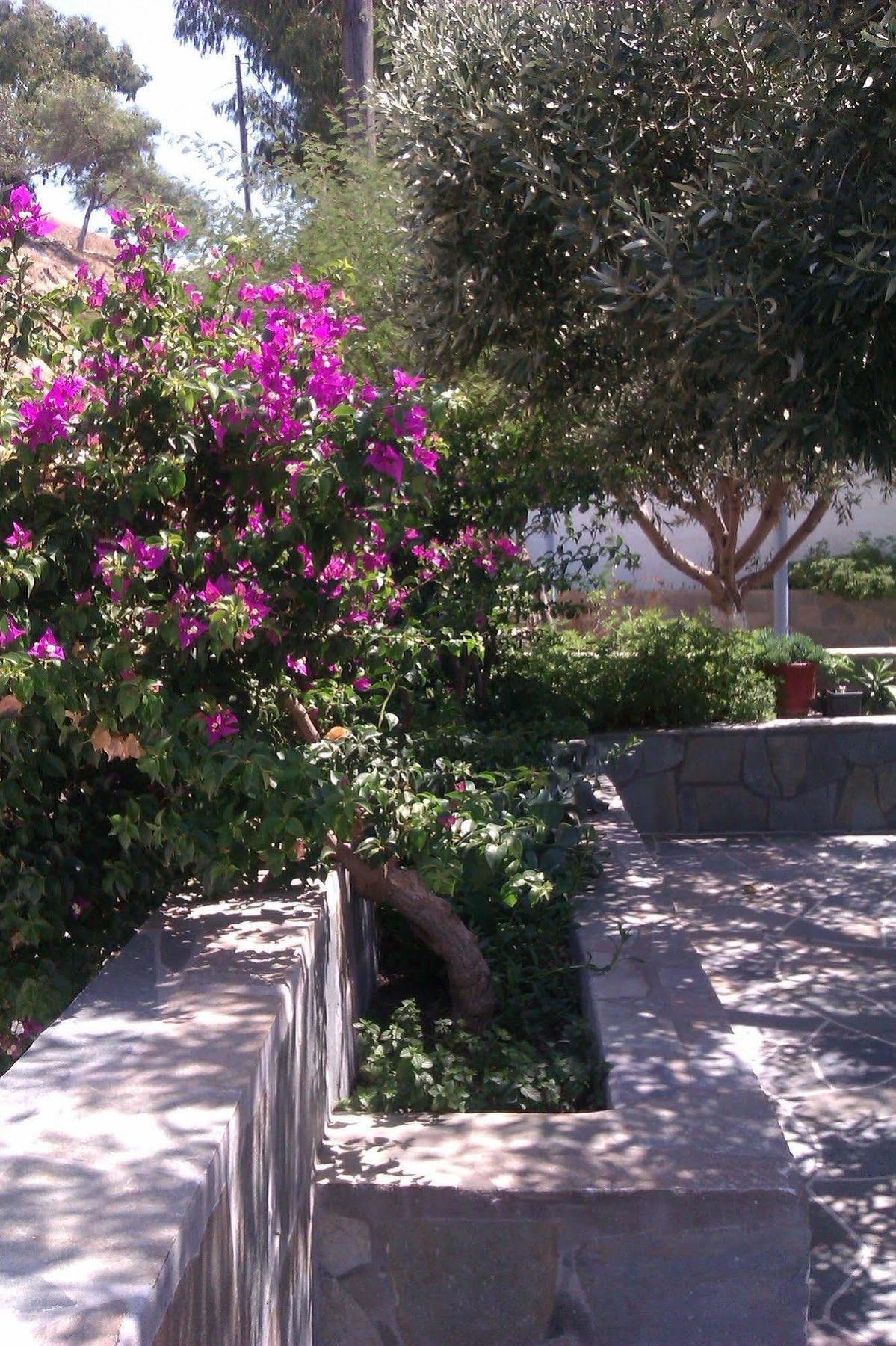 Athena Rooms Chora Exterior foto